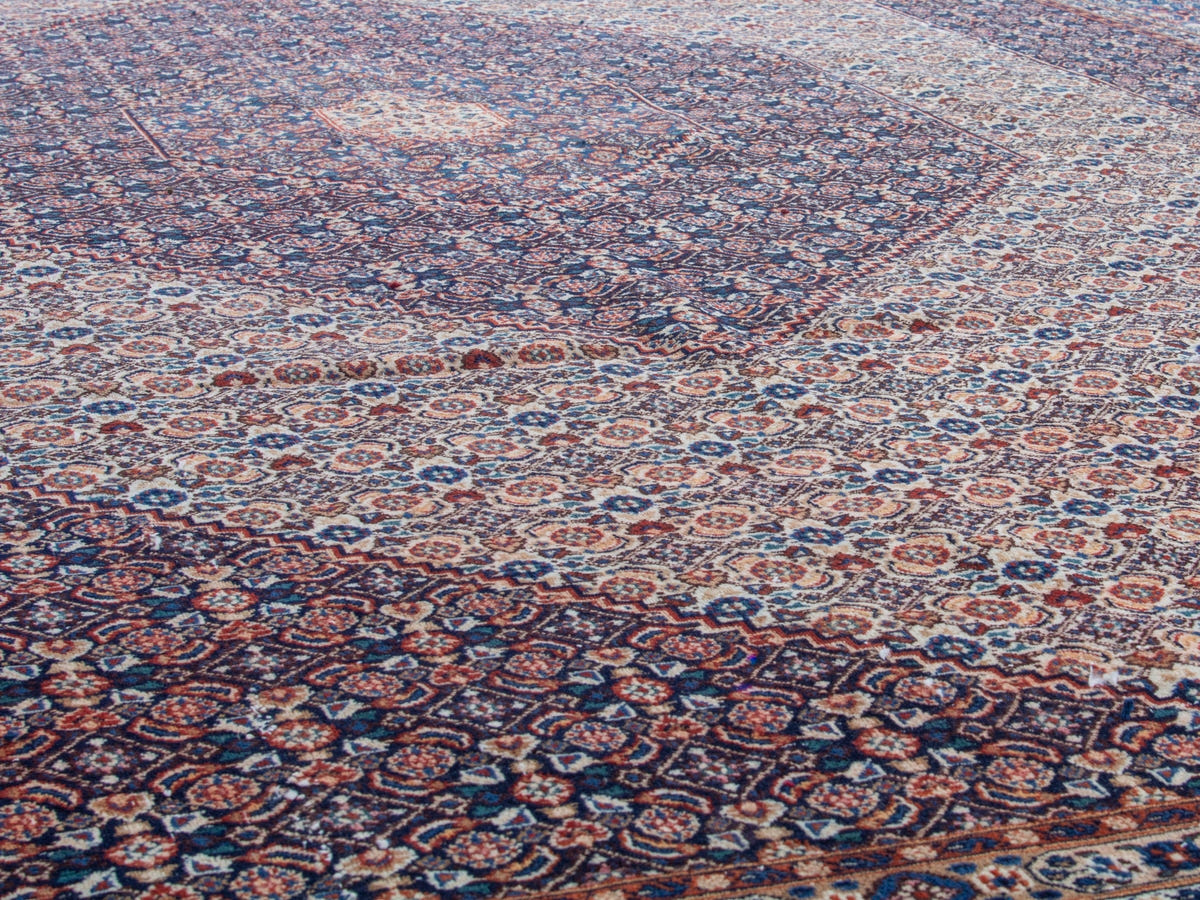 4399, Persian Birjand Oversized Rug