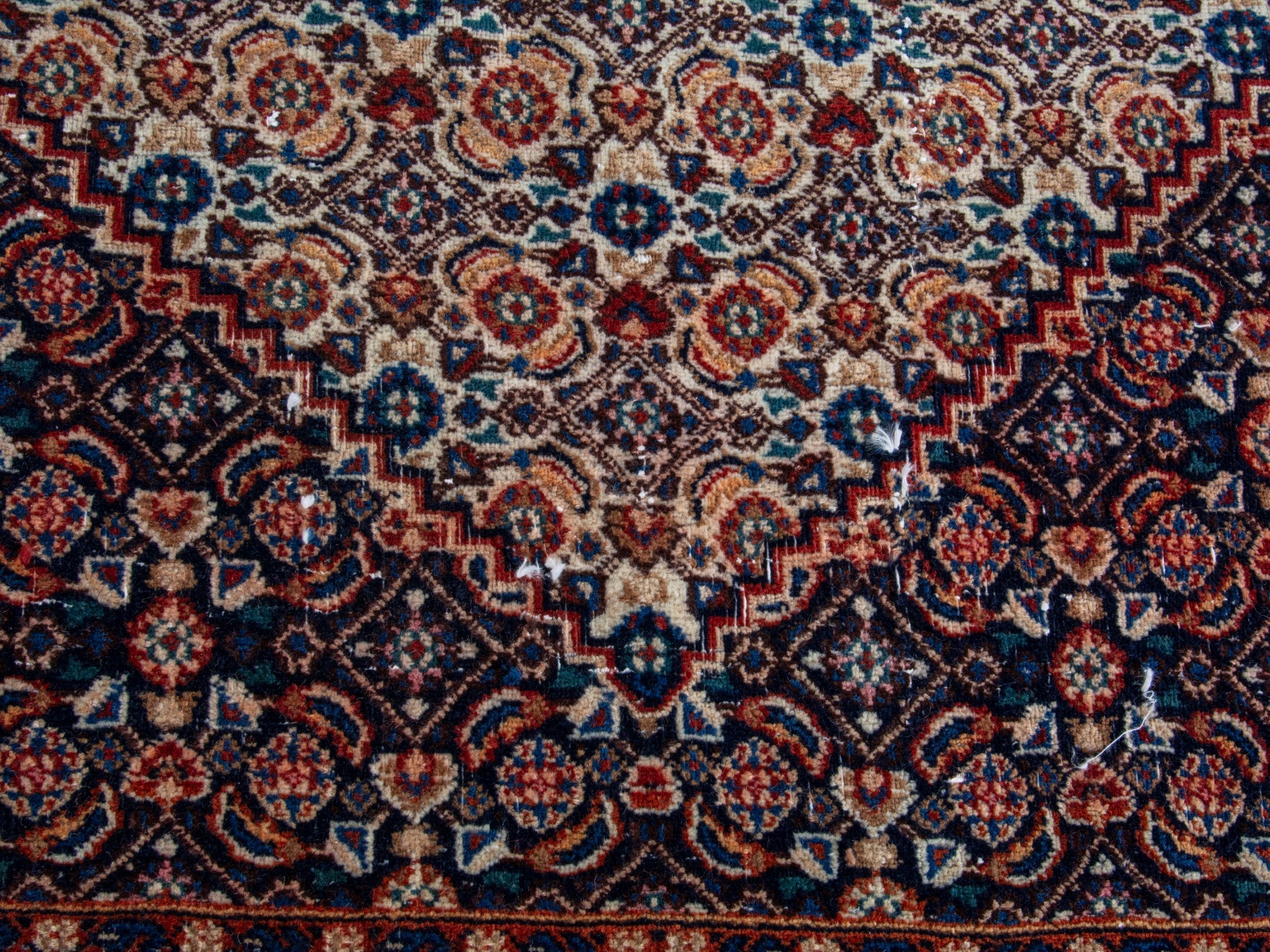 Persian Birjand oversized rug in rust and navy, view 13 of 22