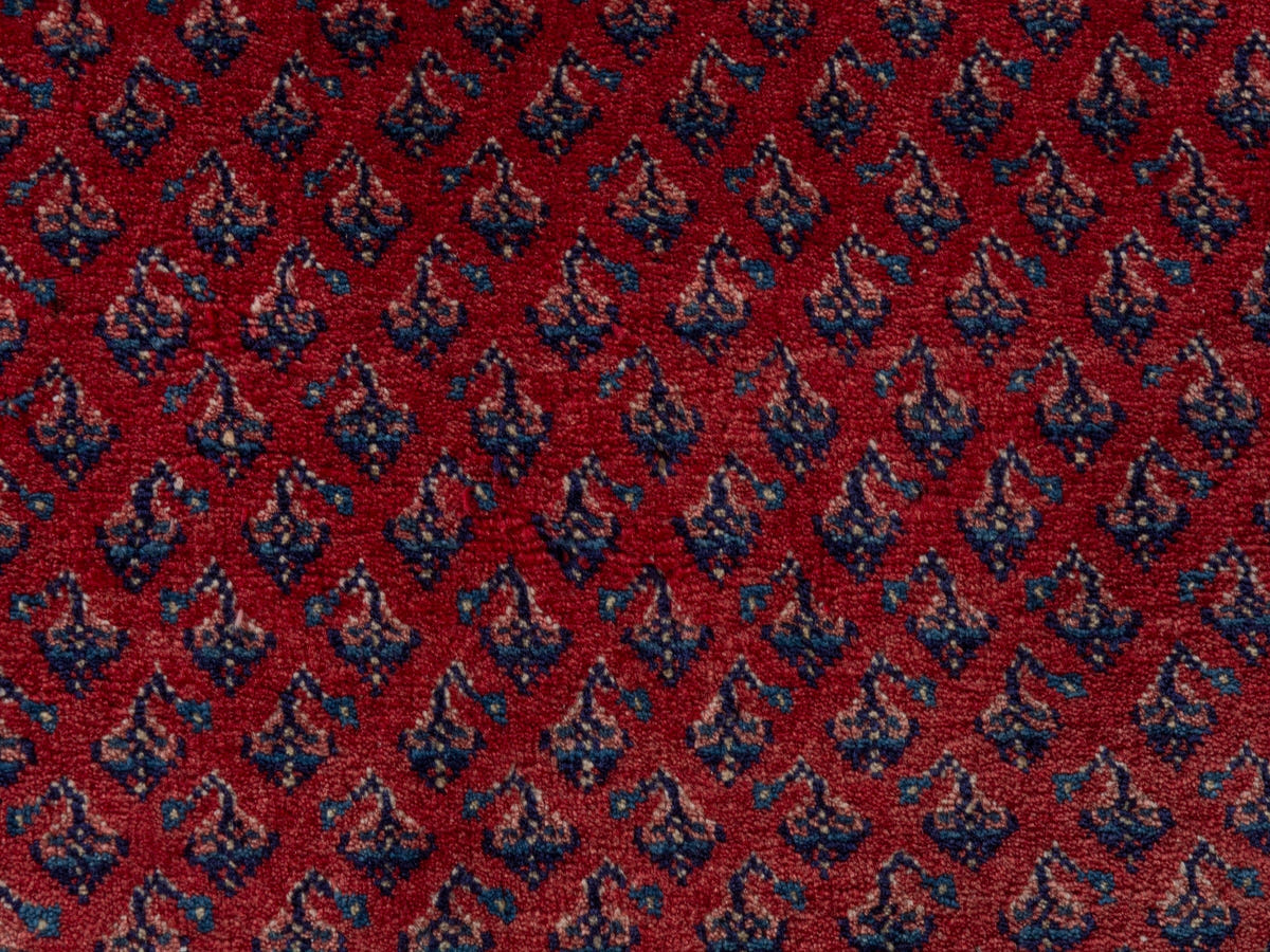 4472, Persian Botteh Oversized Rug
