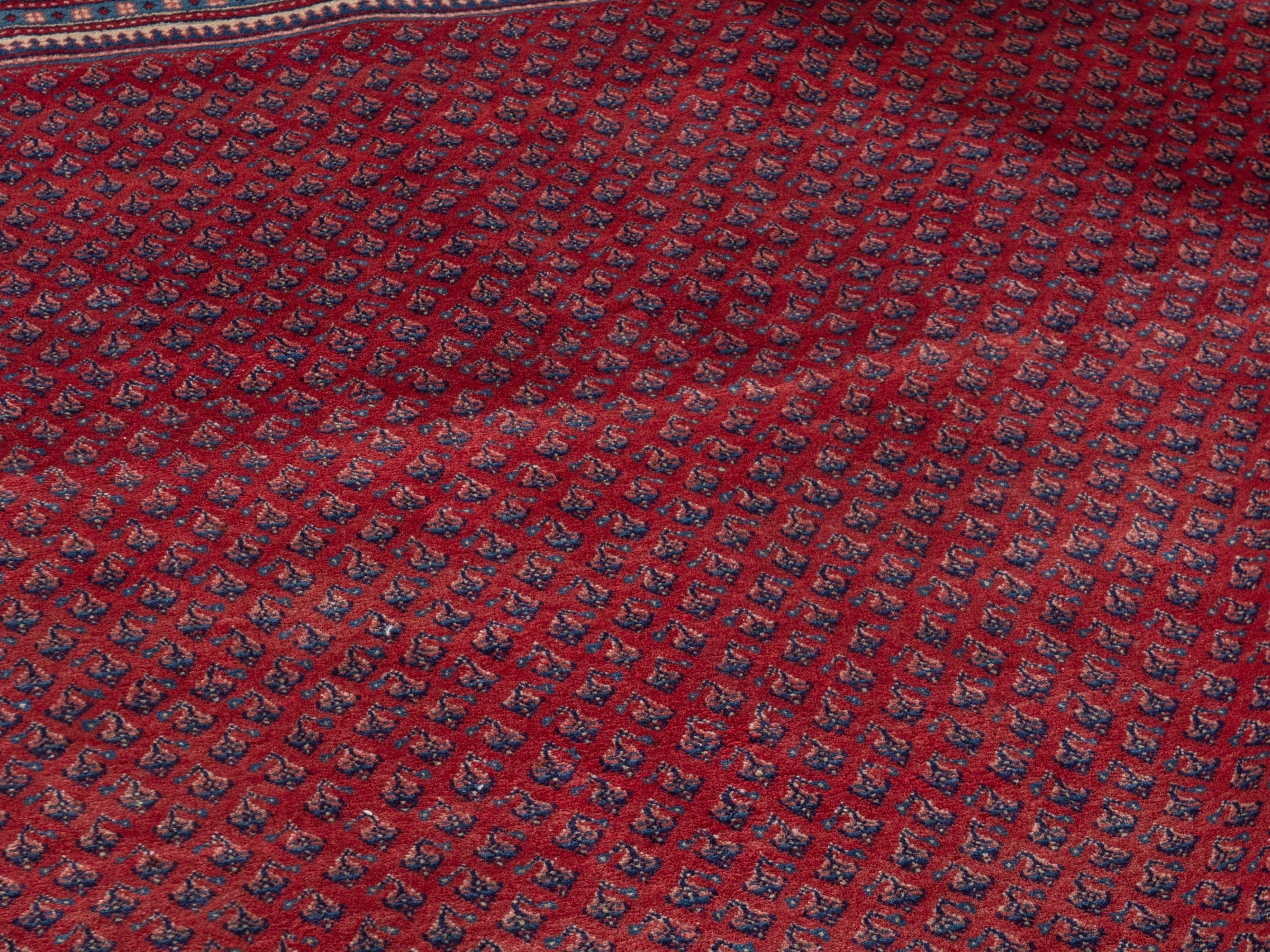 Persian Botteh oversized rug in burgundy and navy, view 21 of 23