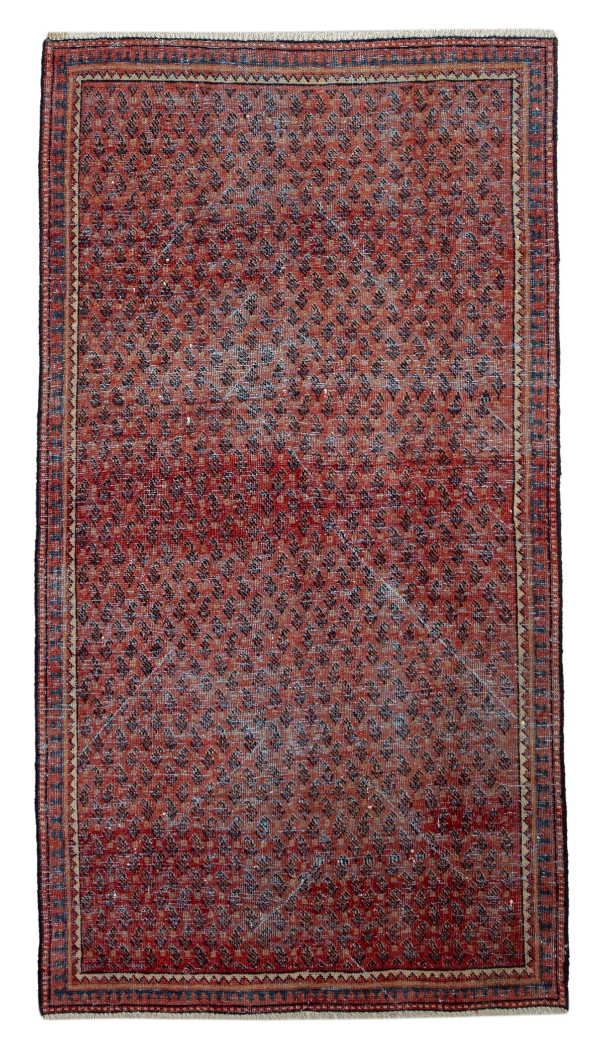 4623, Persian Botteh Area Rug