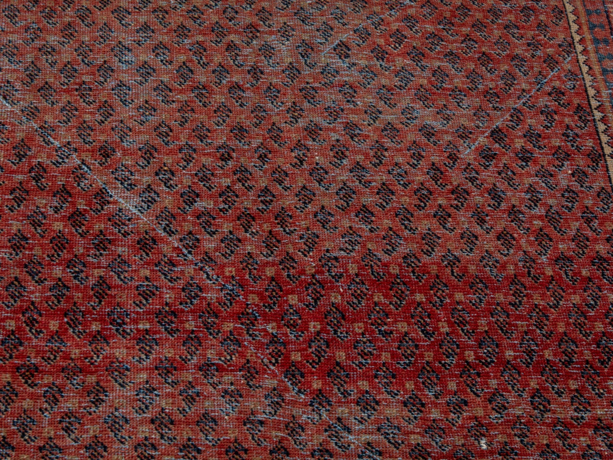 4623, Persian Botteh Area Rug