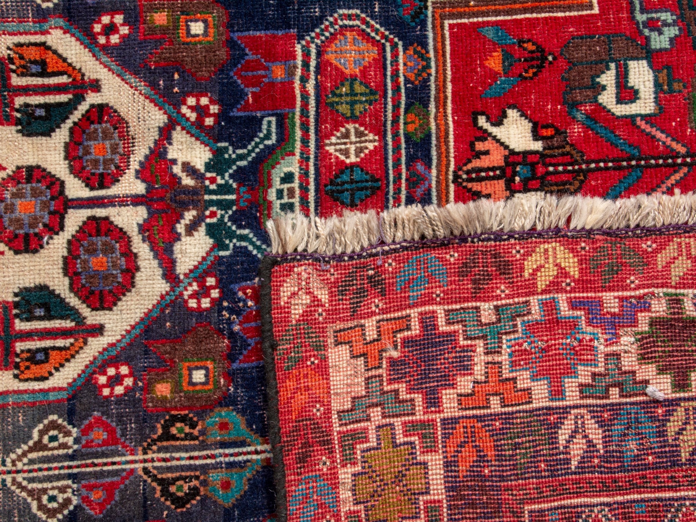 Persian Shiraz area rug in deep indigo and deep red, view 19 of 19