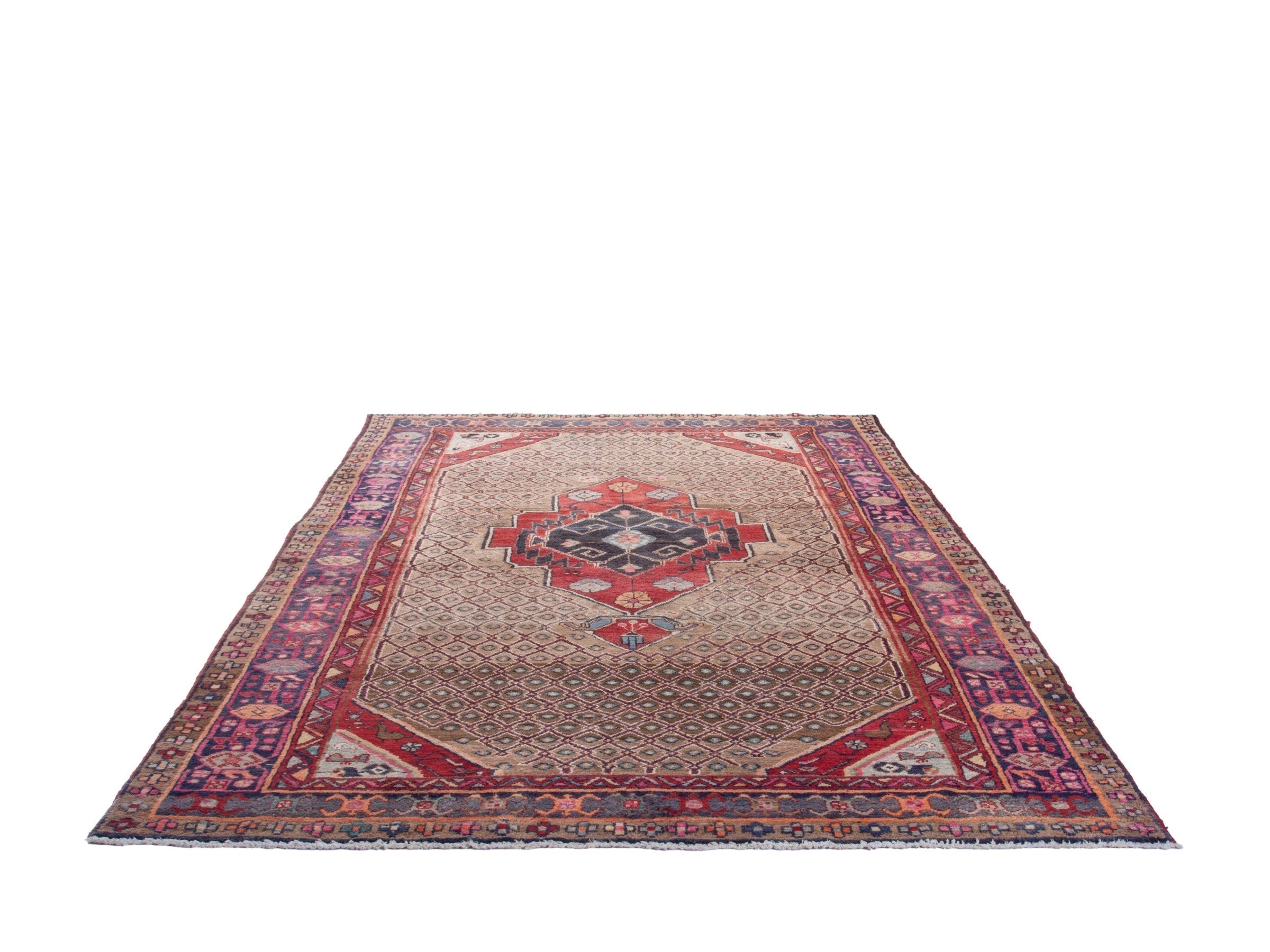 Persian Songhor area rug in beige and deep red, view 3 of 18