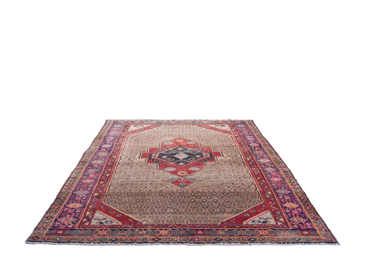 4751, Persian Songhor Area Rug
