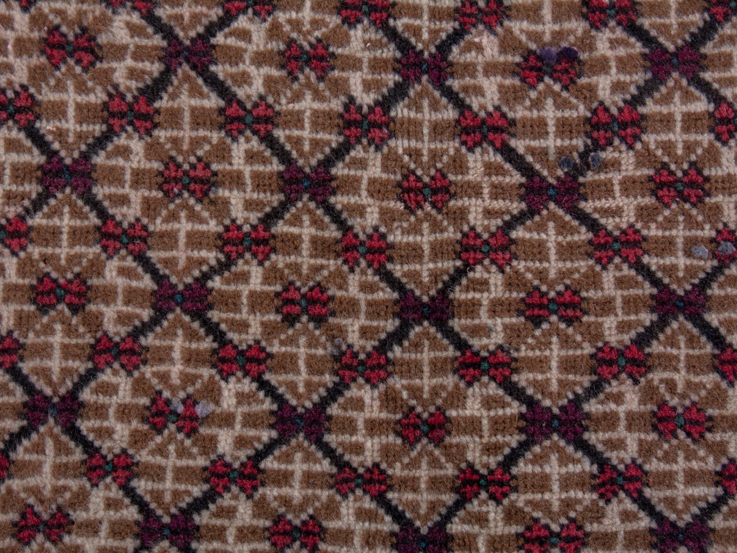 Persian Songhor area rug in cream and burgundy, view 12 of 18