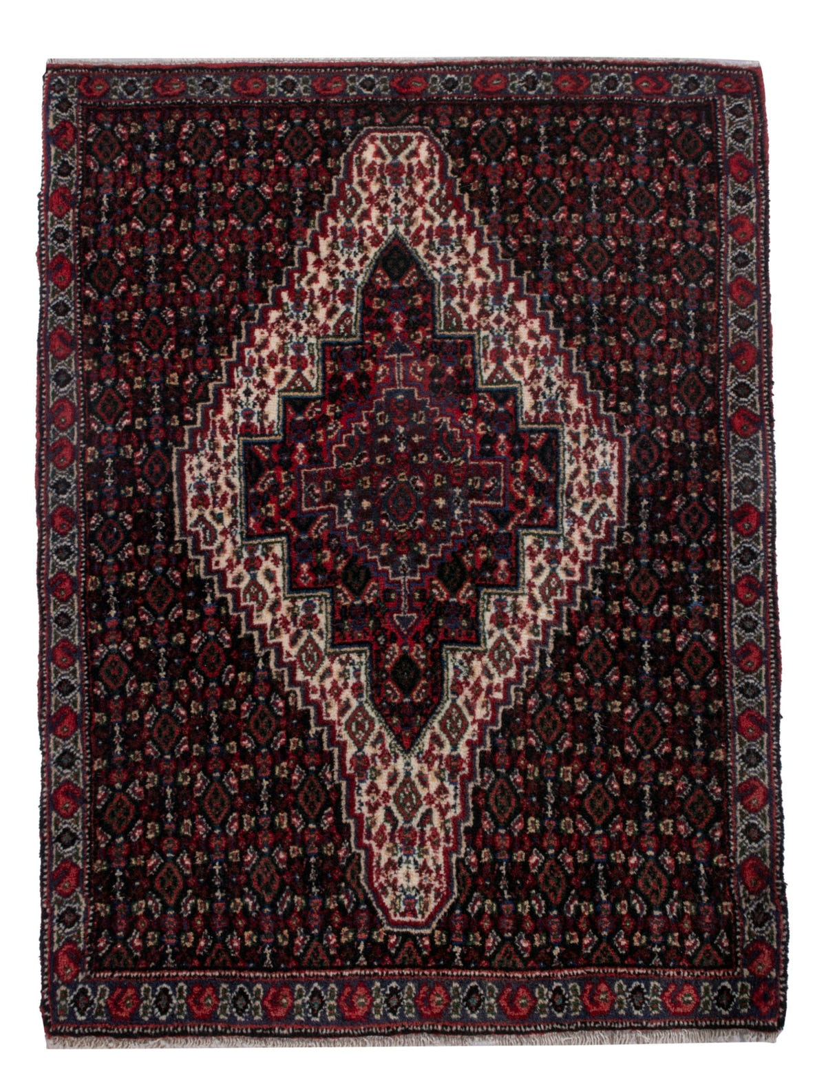4800, Persian Sanandaj Mini Rug