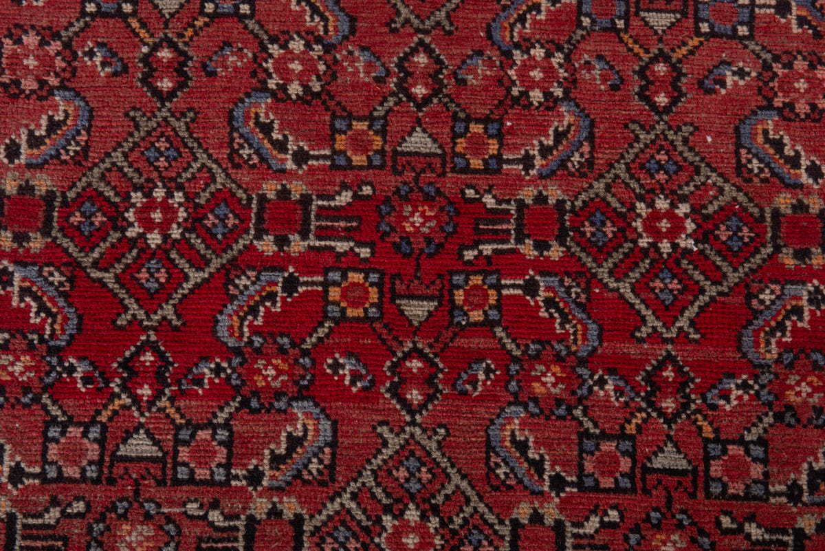 5006, Persian Hamadan Runner Rug