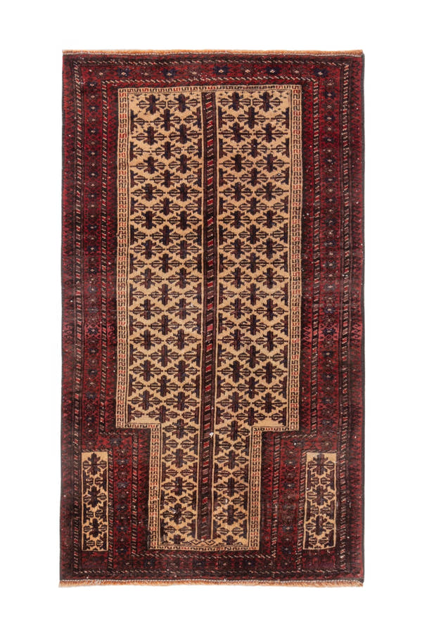 5010, Persian Baluch Area Rug