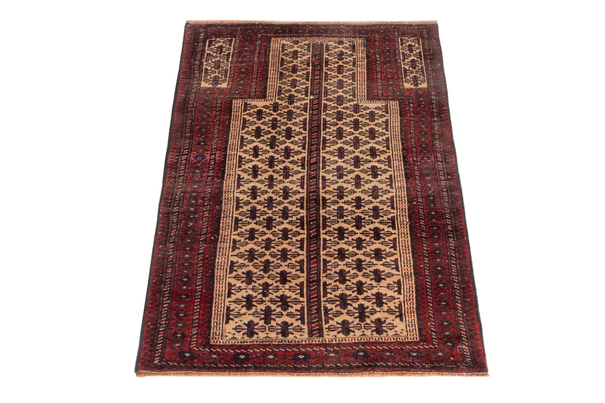 5010, Persian Baluch Area Rug