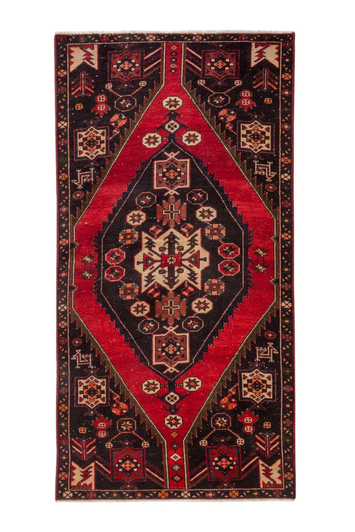 5019, Persian Saveh Area Rug