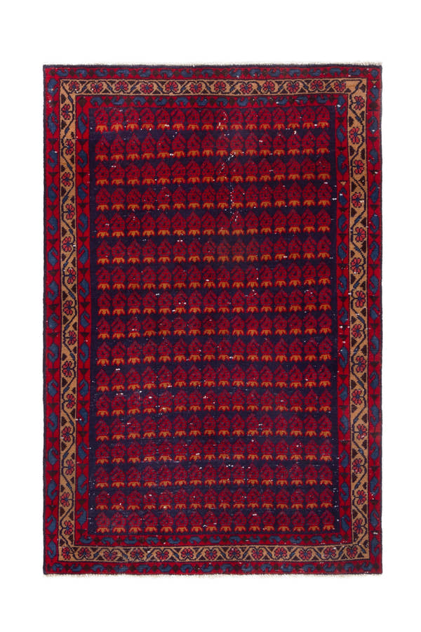 5037, Persian Vist Area Rug