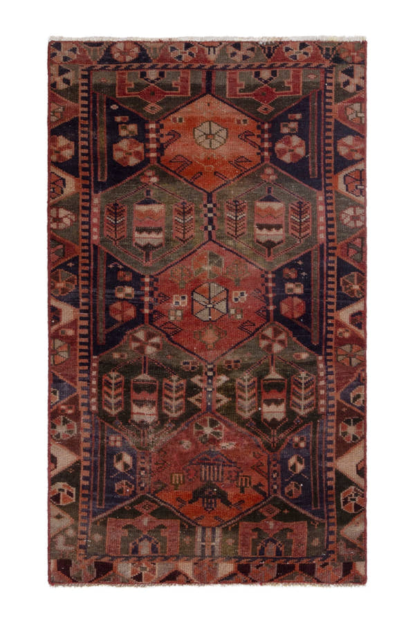 5042, Persian Bakhtiari Area Rug