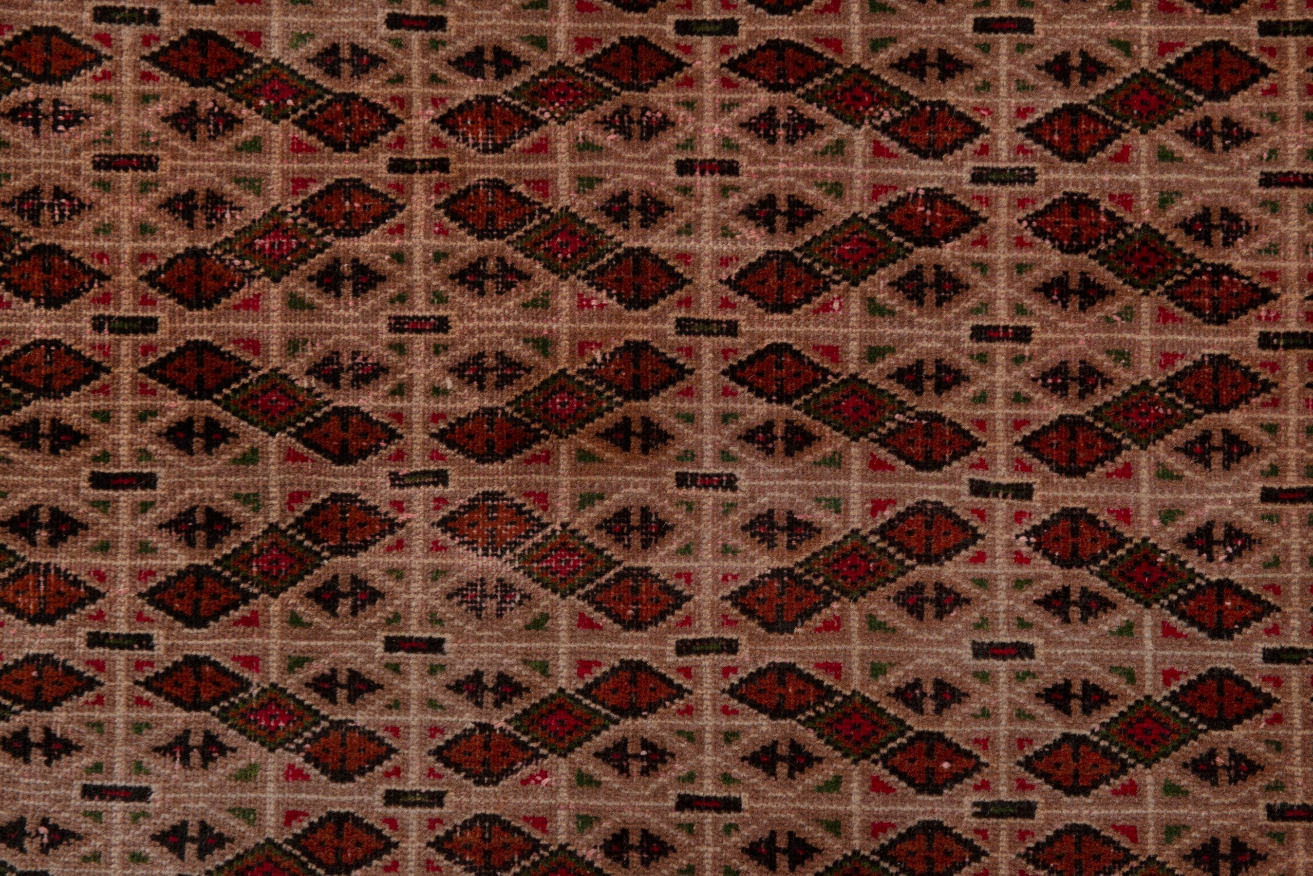 Persian Torkaman area rug in tan and brown, view 12 of 18