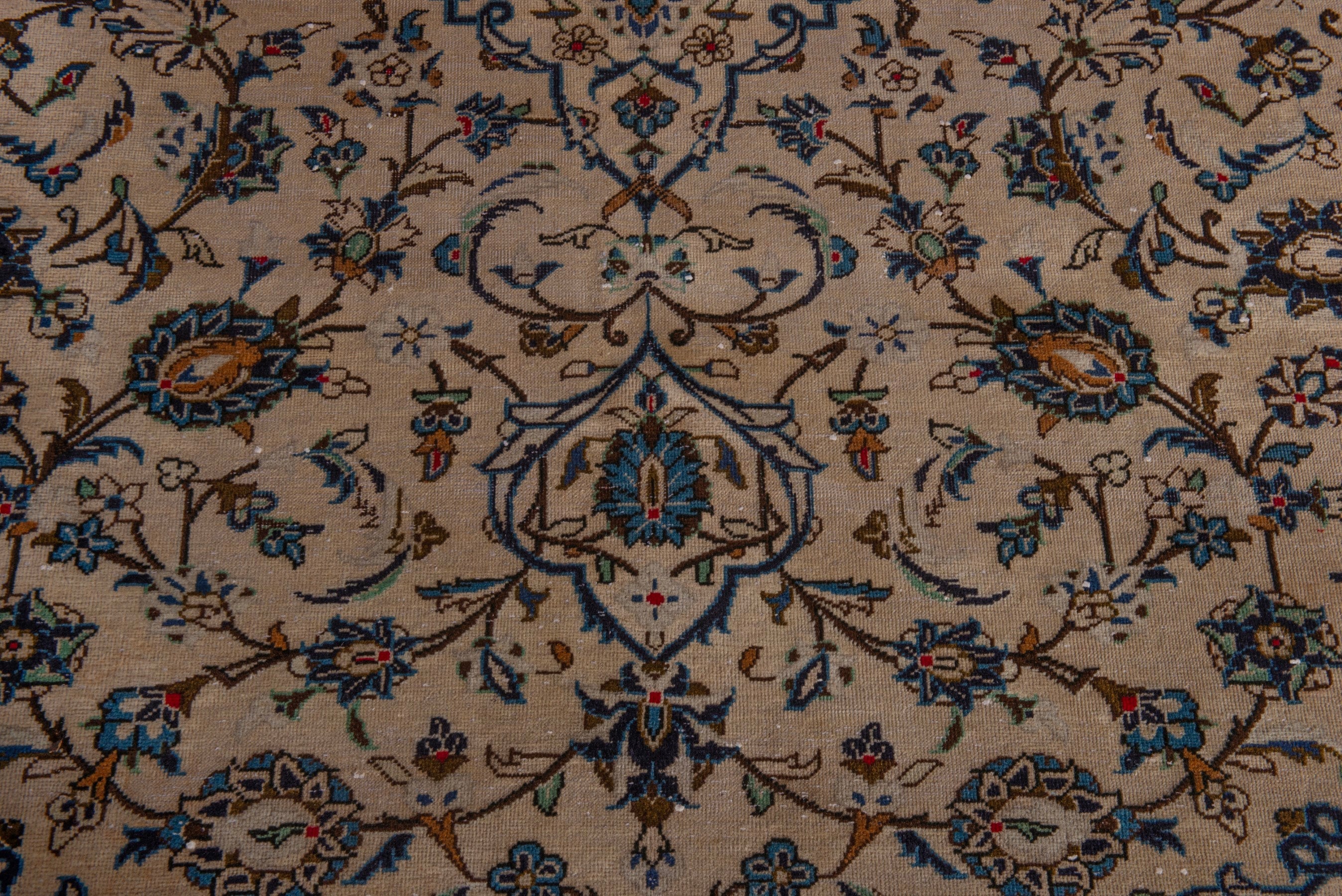Persian Kashan oversized rug in cream and dark taupe, view 12 of 22