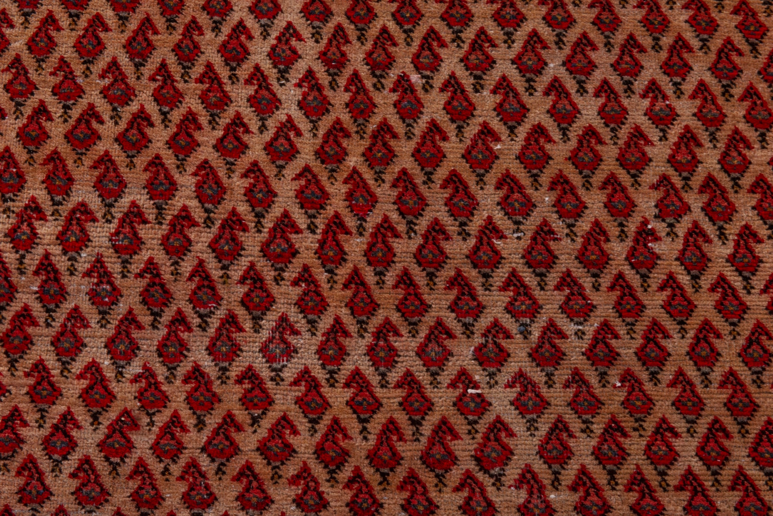 Persian Botteh oversized rug in rust and burgundy, view 11 of 19