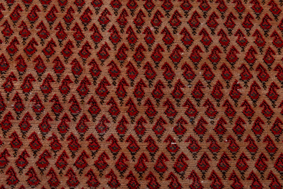5102, Persian Botteh Oversized Rug
