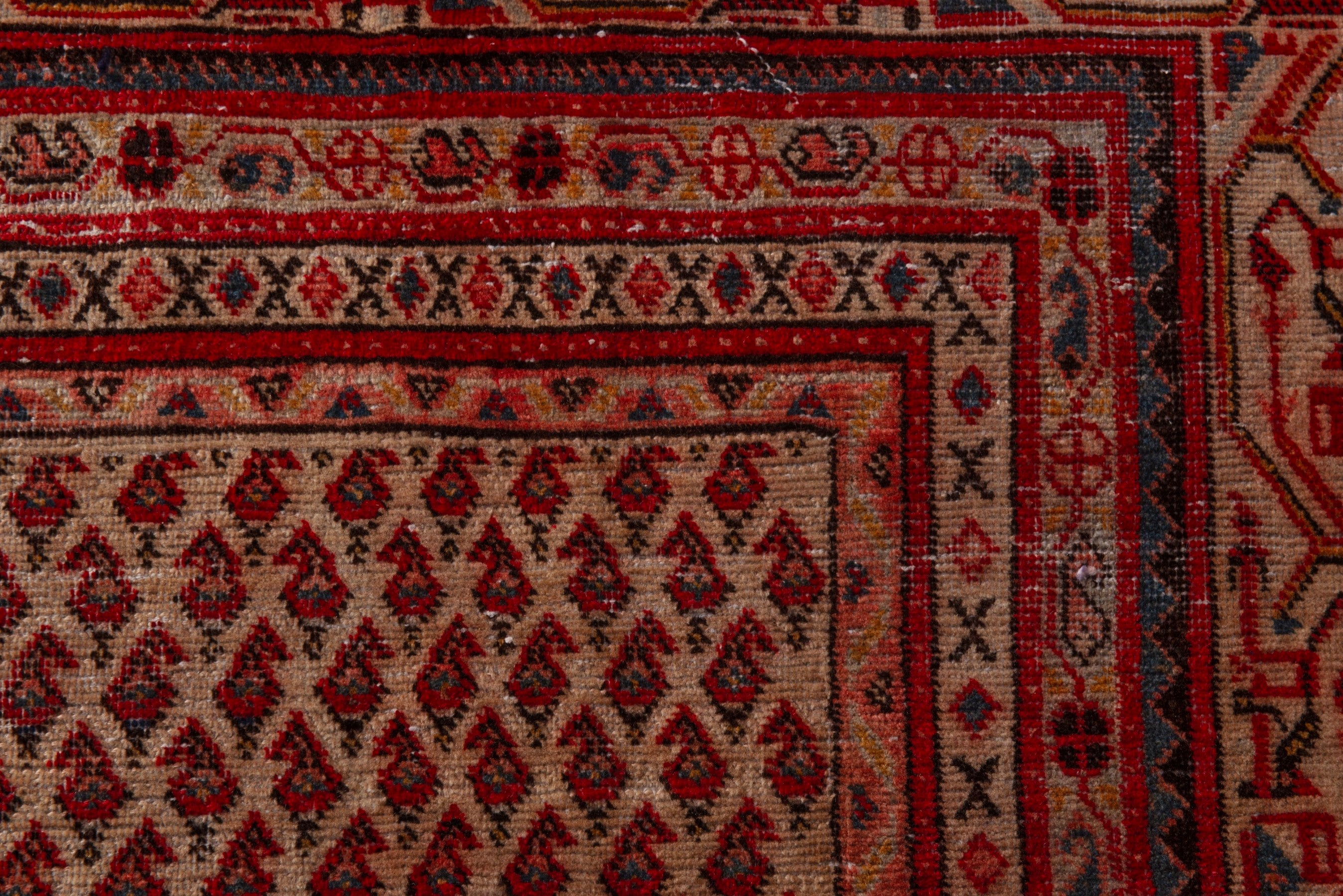 Persian Botteh oversized rug in rust and burgundy, view 13 of 19
