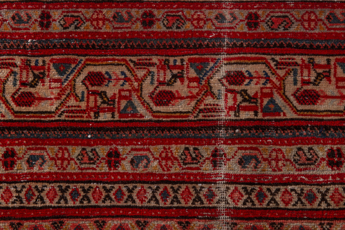 5102, Persian Botteh Oversized Rug