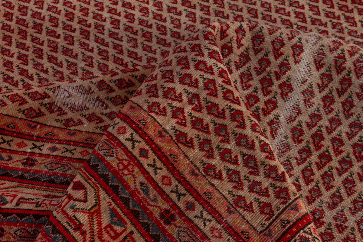 5102, Persian Botteh Oversized Rug
