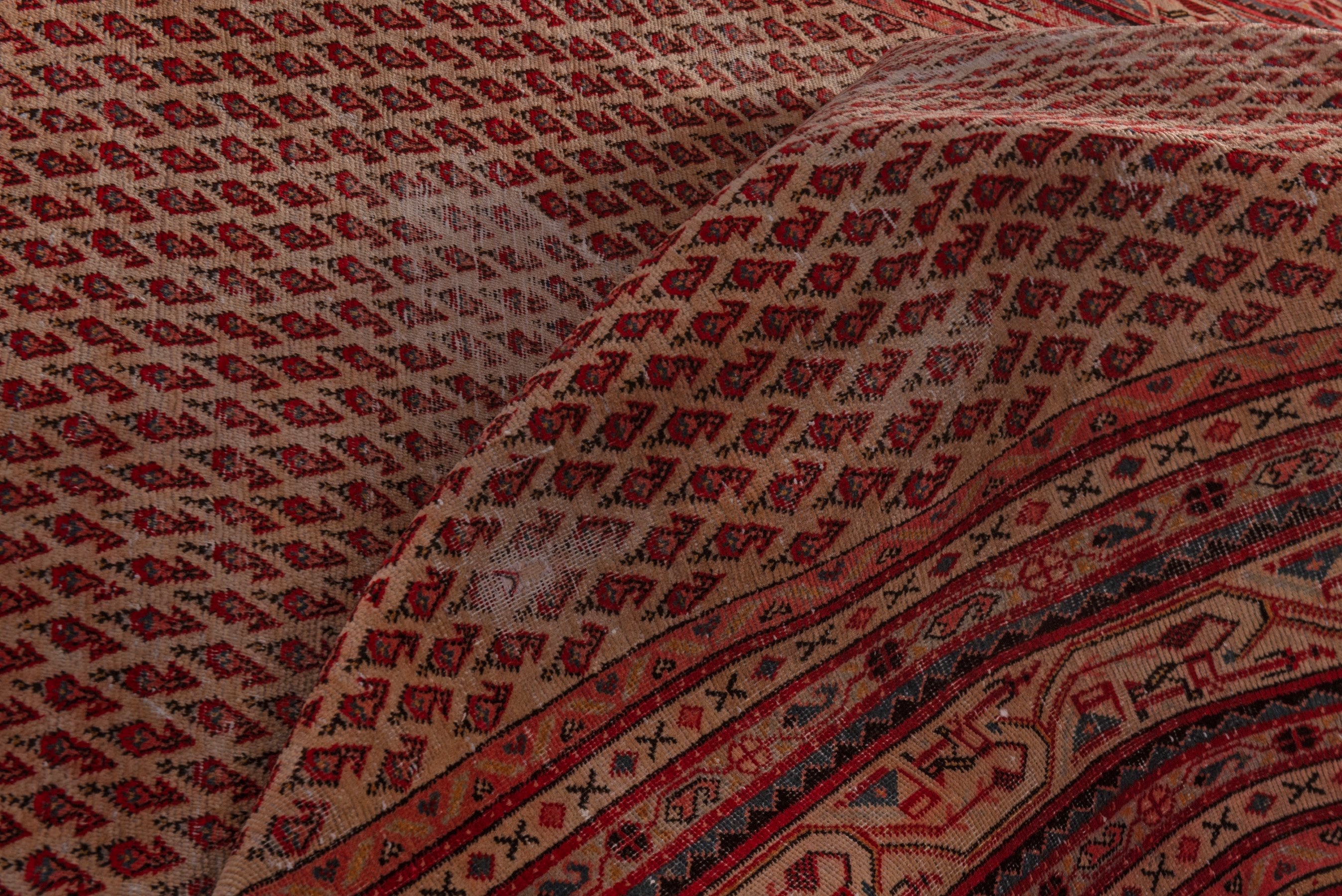 Persian Botteh oversized rug in rust and burgundy, view 18 of 19