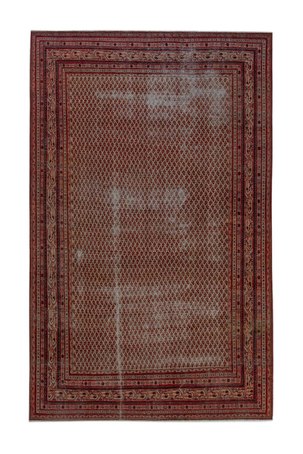 5102, Persian Botteh Oversized Rug