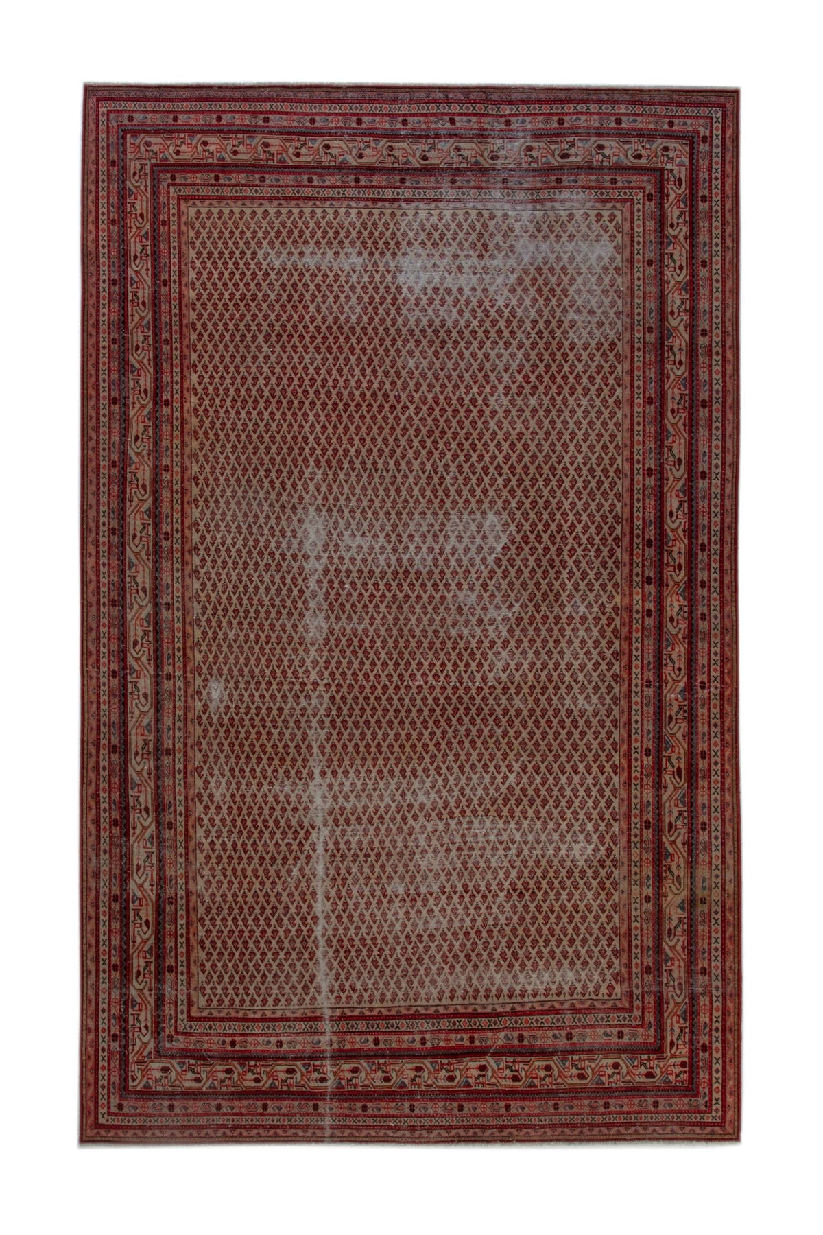 5102, Persian Botteh Oversized Rug