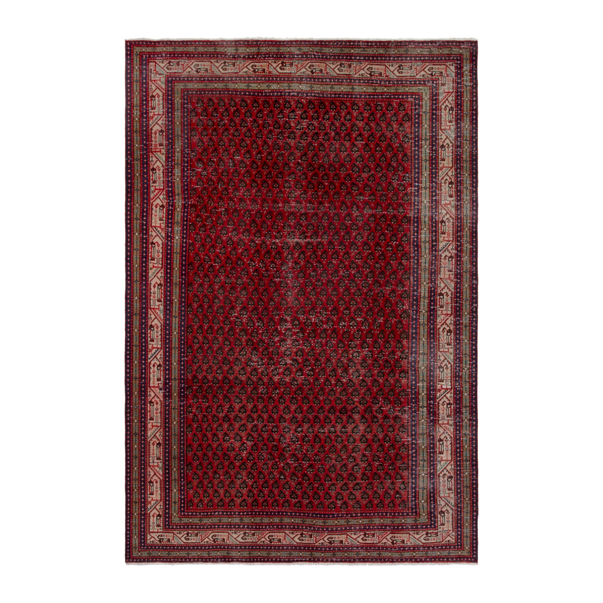 Persian Botteh oversized rug in deep red and cream, 7'7" x 11'10"