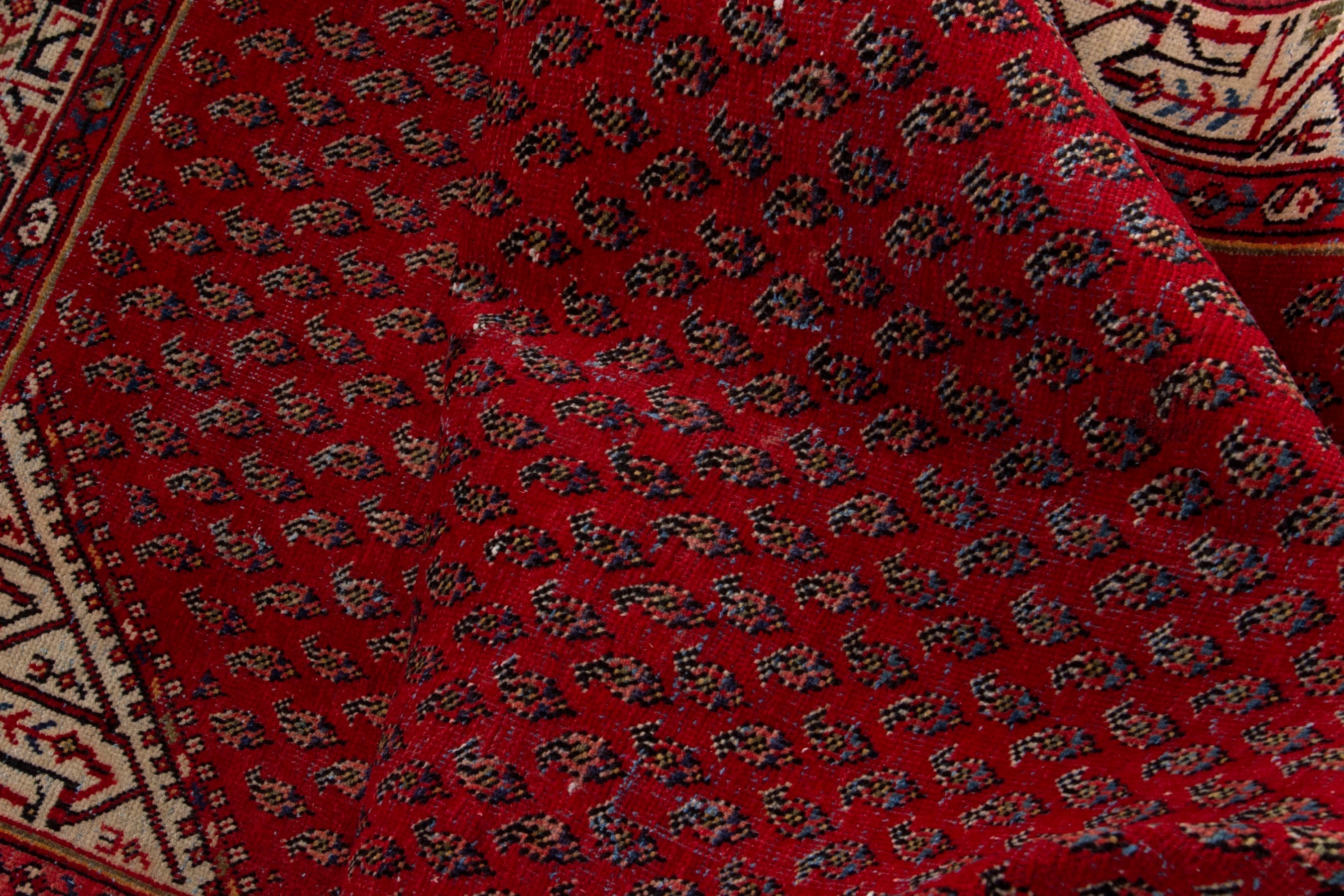 Persian Botteh runner rug in deep red and cream, view 16 of 18