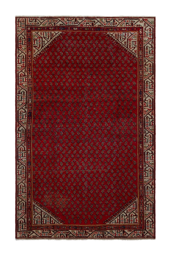5133, Persian Botteh Area Rug