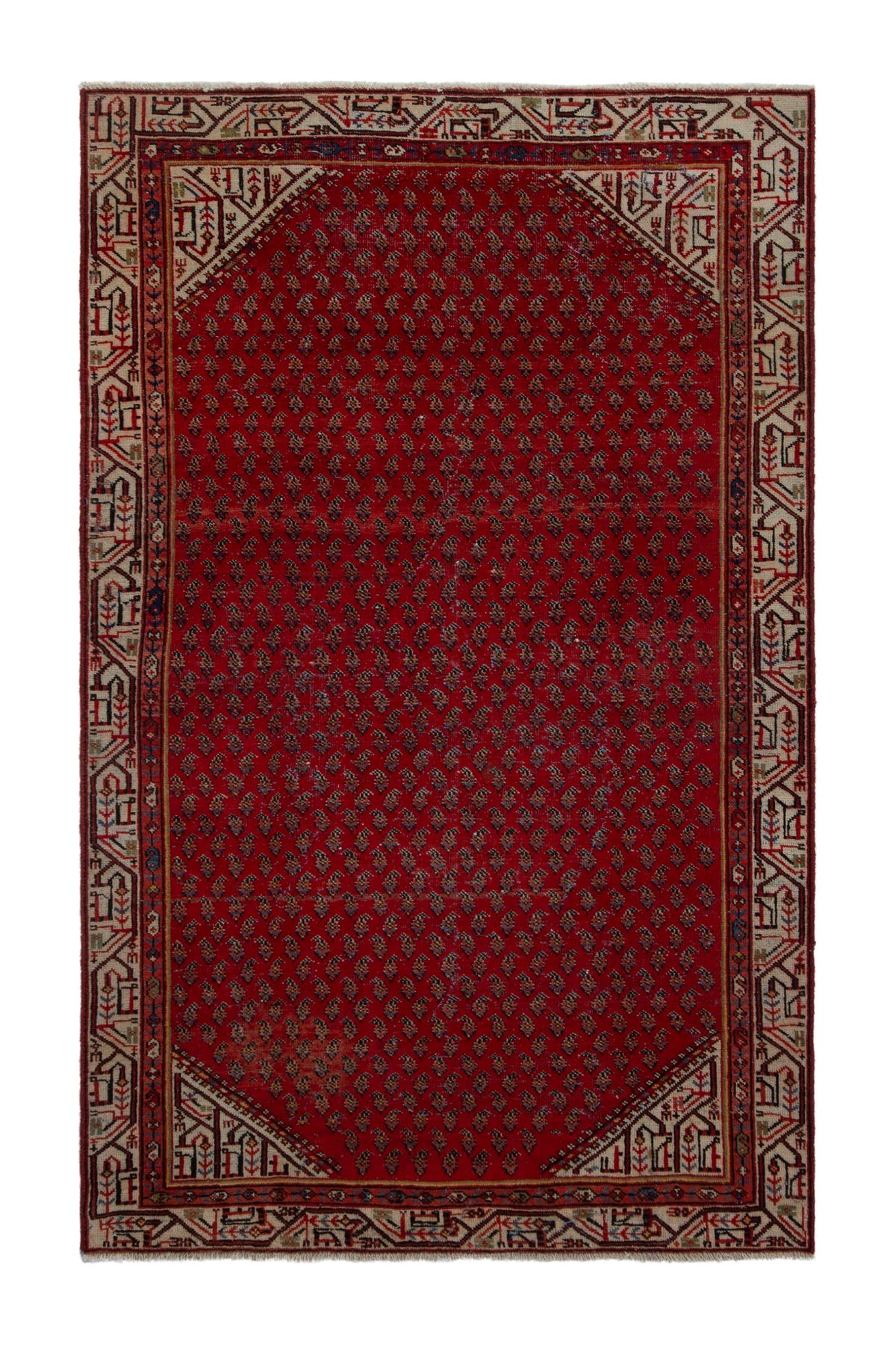 5133, Persian Botteh Area Rug