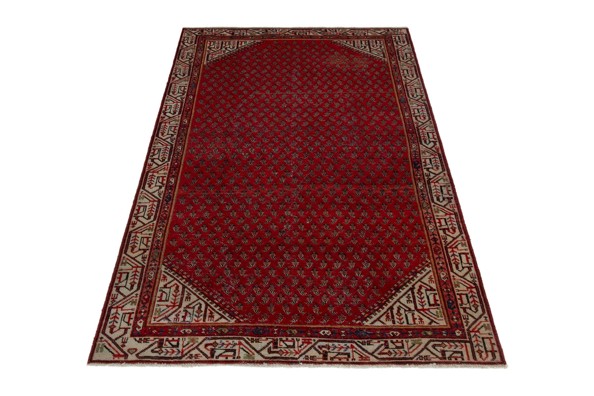 5133, Persian Botteh Area Rug