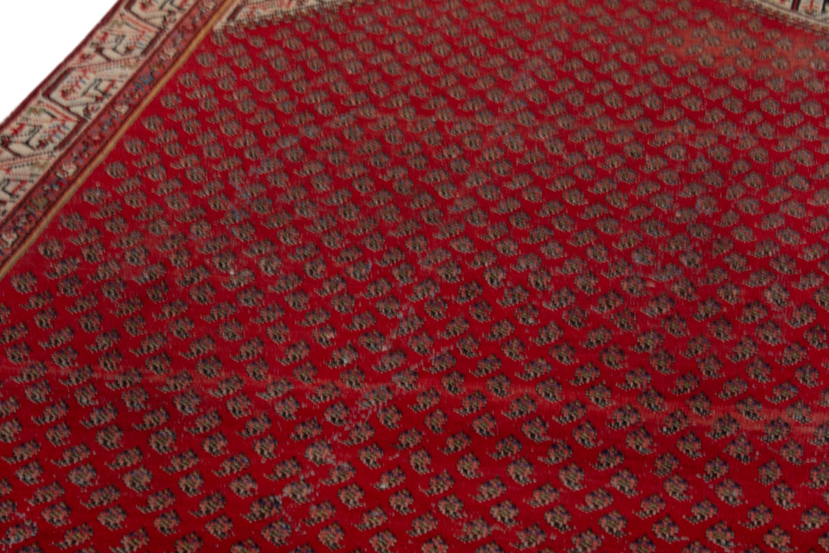 5133, Persian Botteh Area Rug