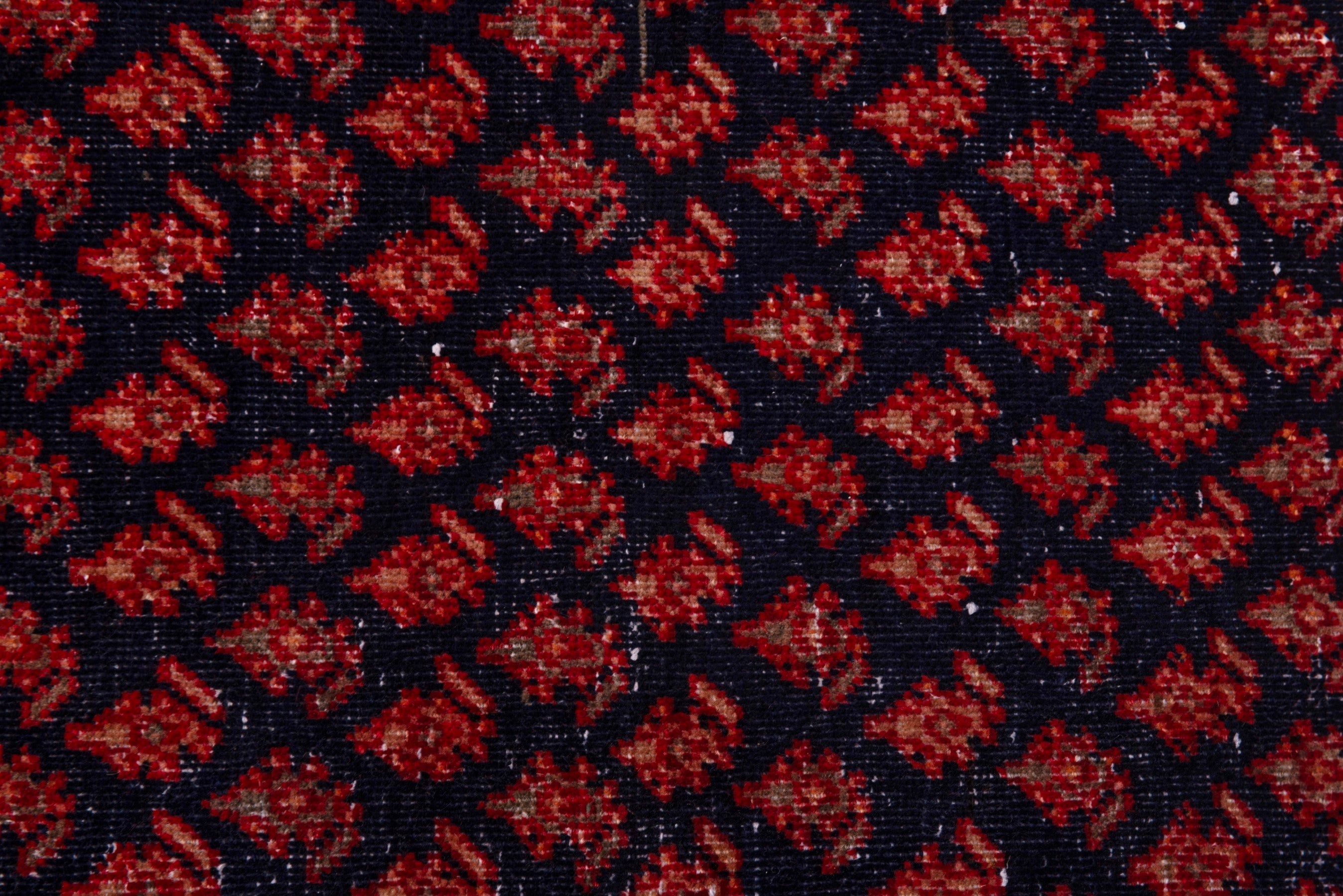 Persian Arak runner rug in navy and rust, view 12 of 17