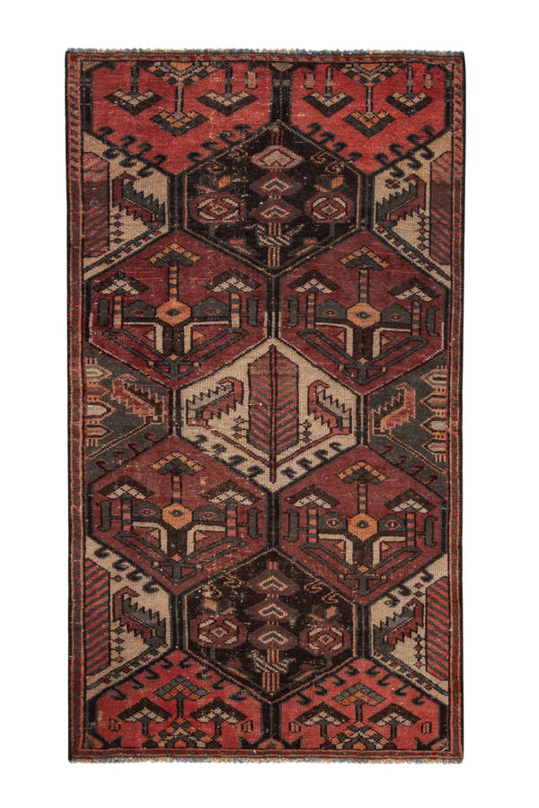 5152, Persian Bakhtiari Area Rug