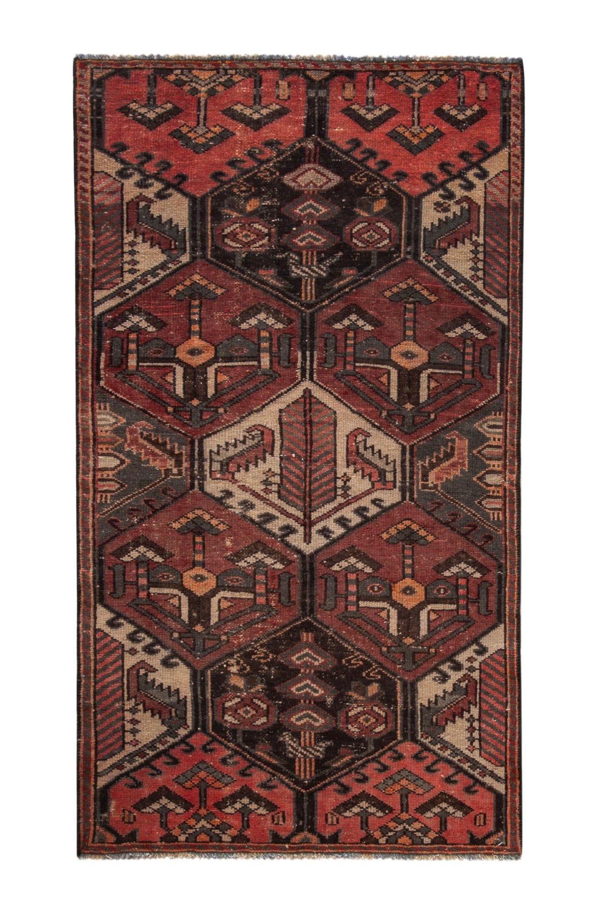 5152, Persian Bakhtiari Area Rug