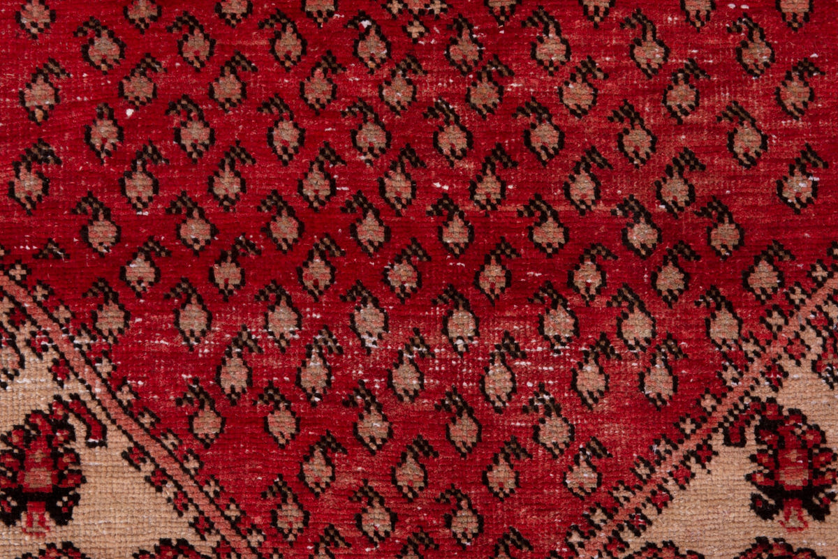 5165, Persian Botteh Area Rug