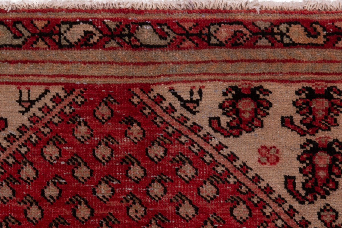 5165, Persian Botteh Area Rug