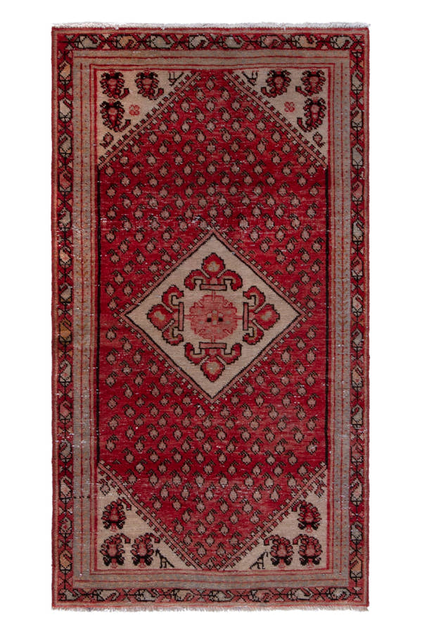 5165, Persian Botteh Area Rug