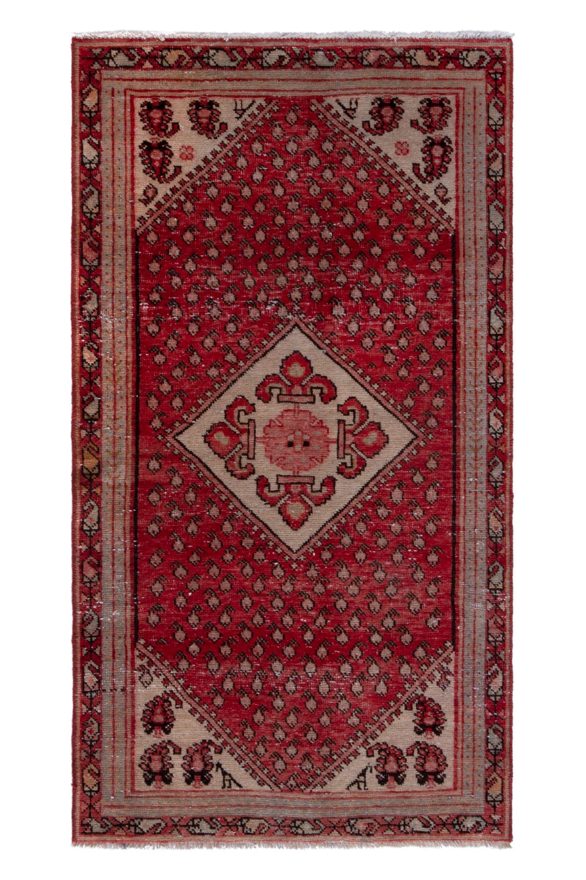 5165, Persian Botteh Area Rug