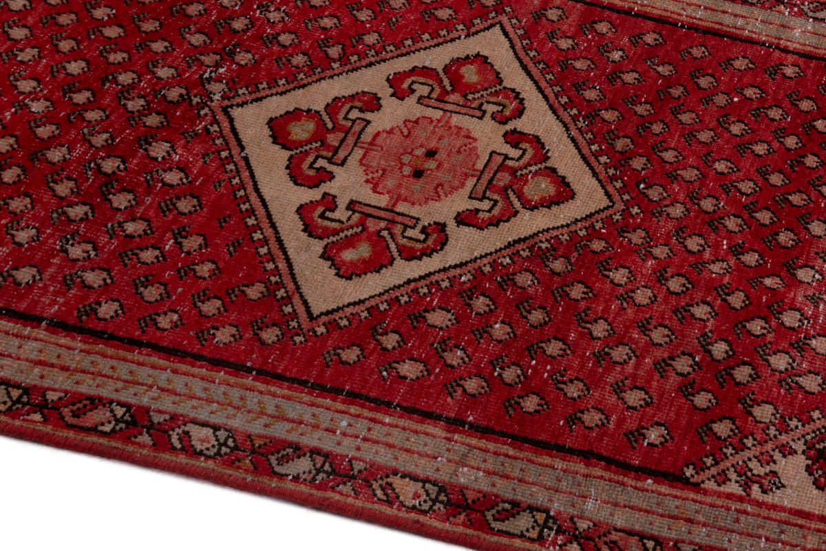 5165, Persian Botteh Area Rug