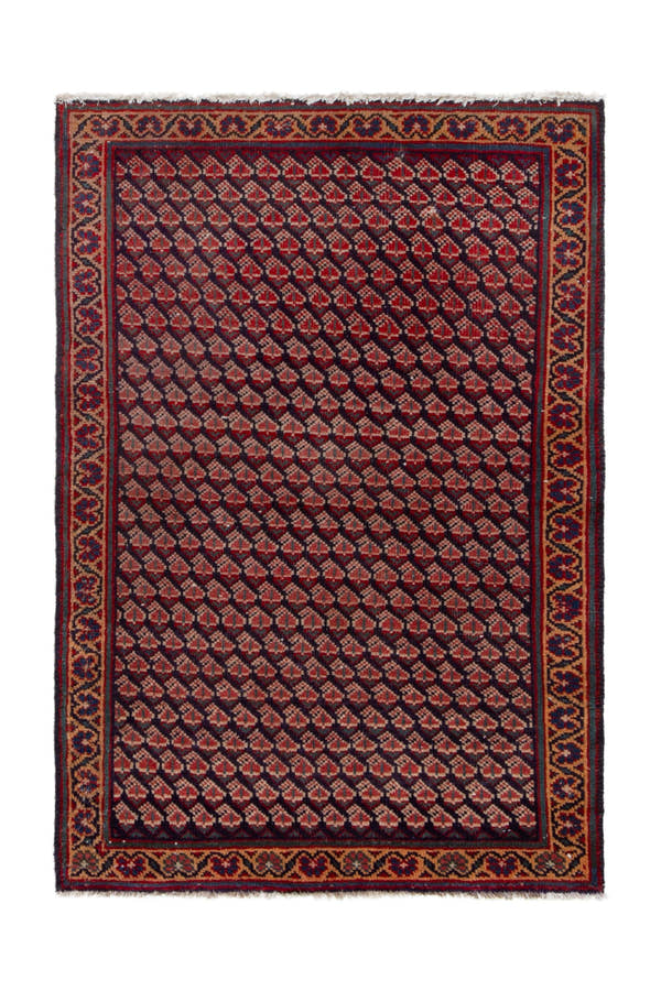 5191, Persian Vist Area Rug