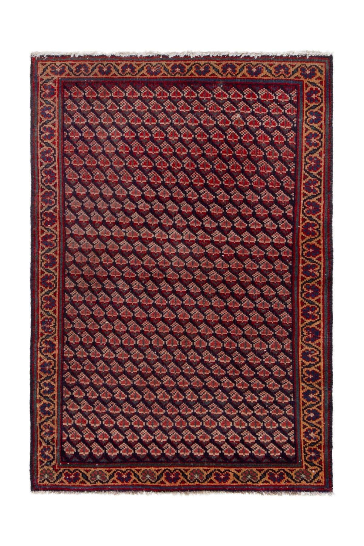 5191, Persian Vist Area Rug