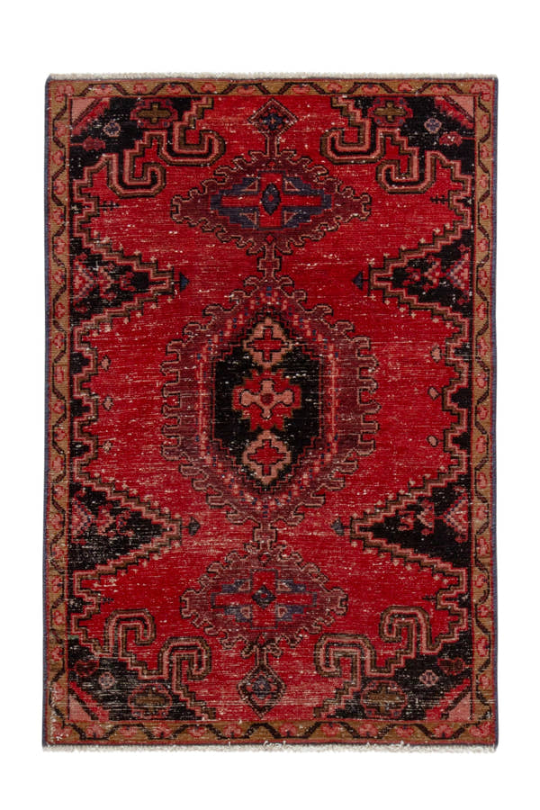 5213, Persian Vist Area Rug