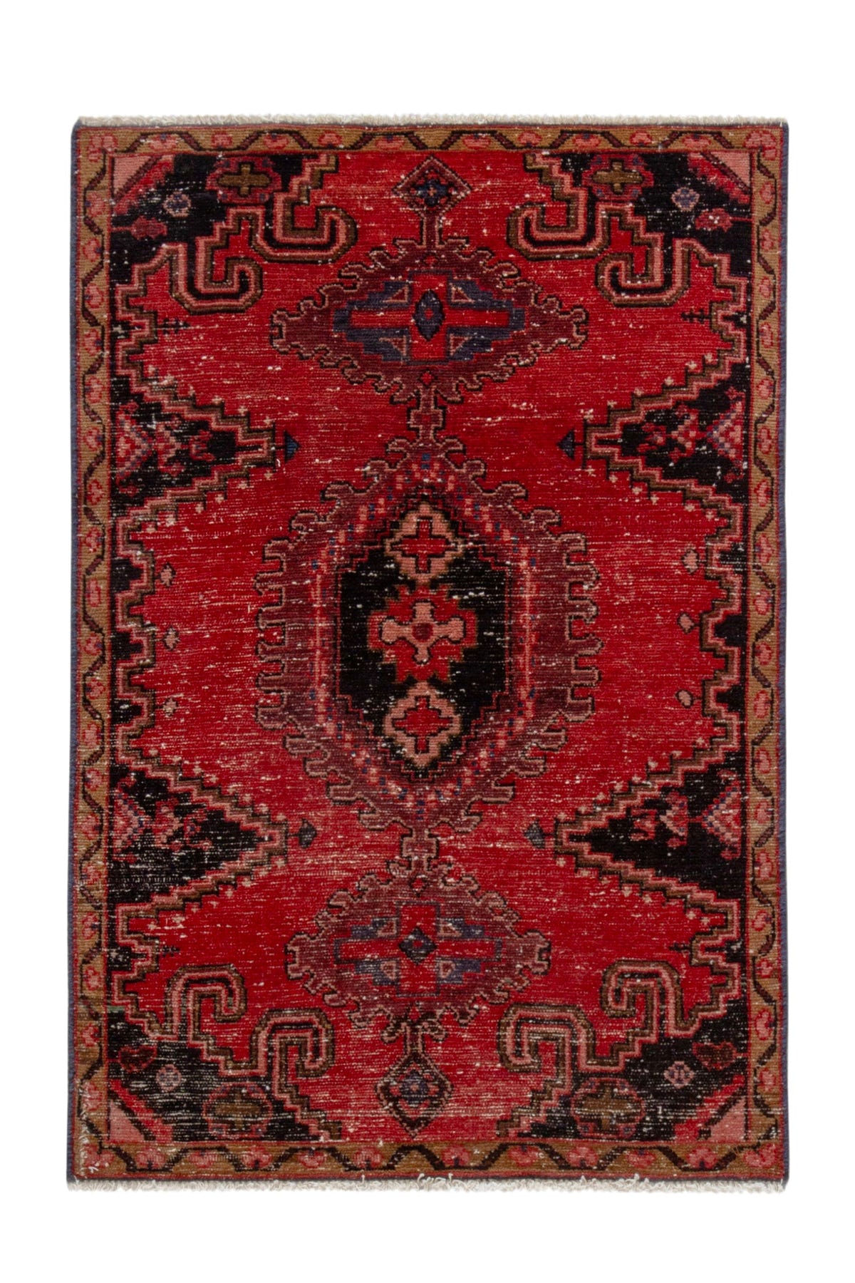 5213, Persian Vist Area Rug