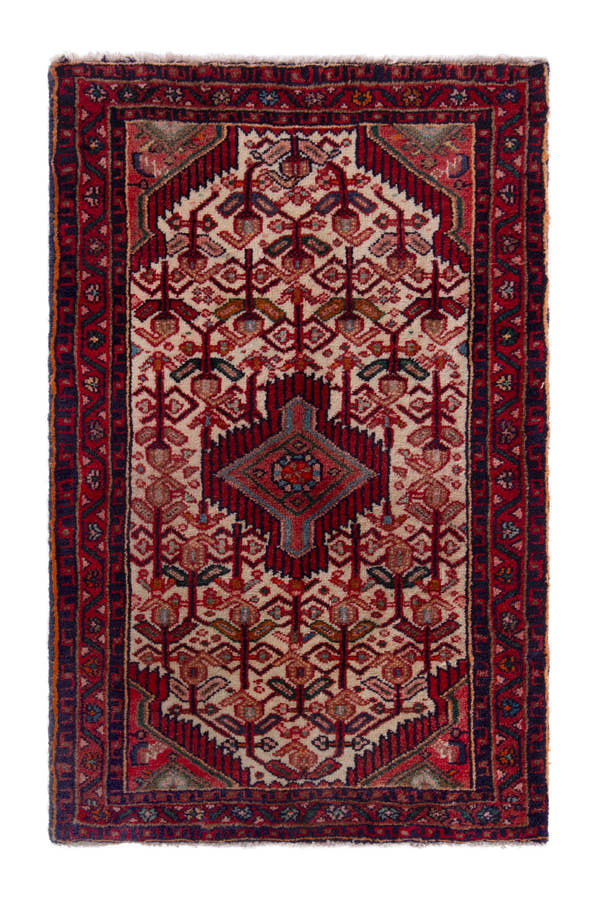 5245, Persian Hamadan Mini Rug