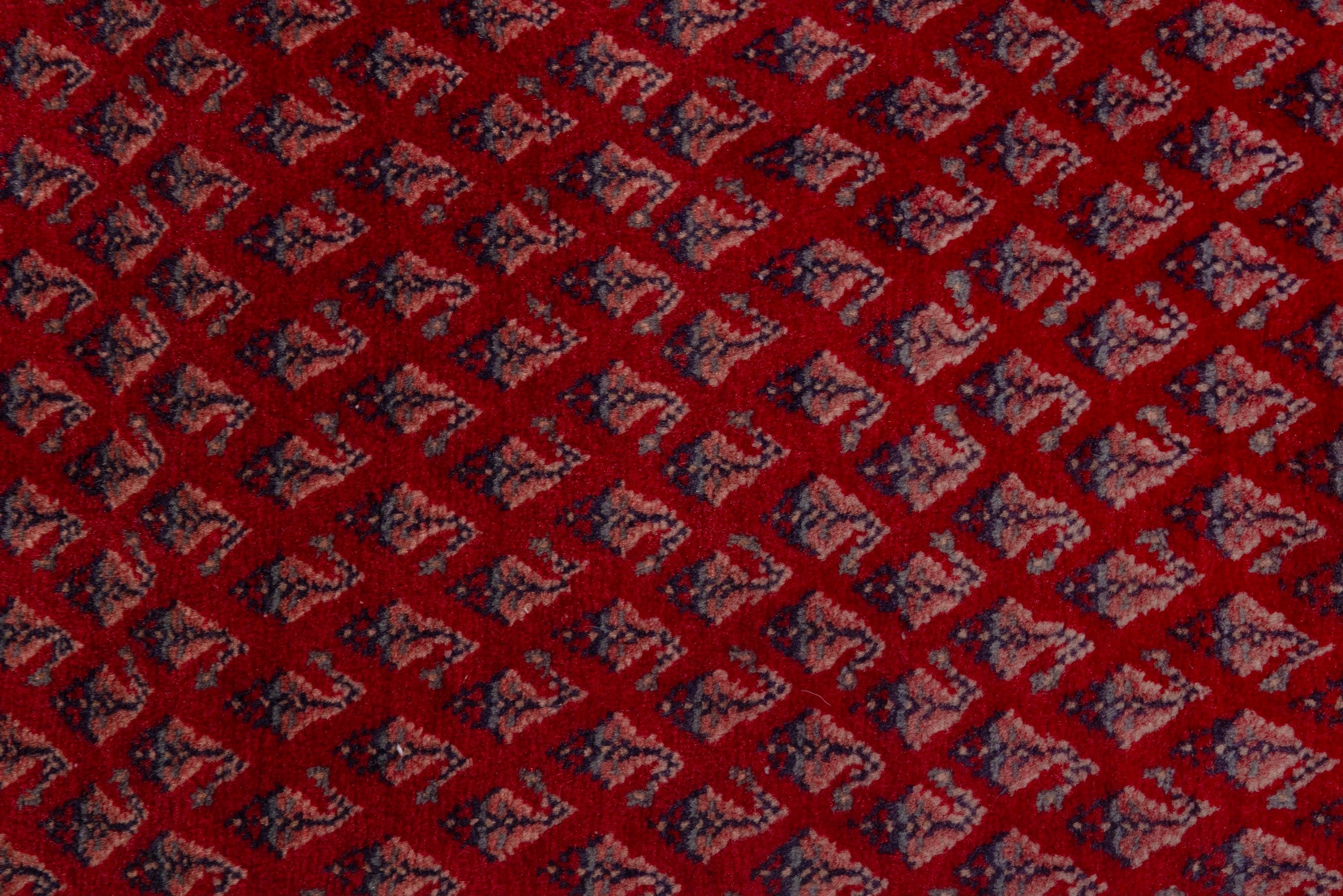 Persian Botteh accent rug in deep red and navy, view 6 of 7