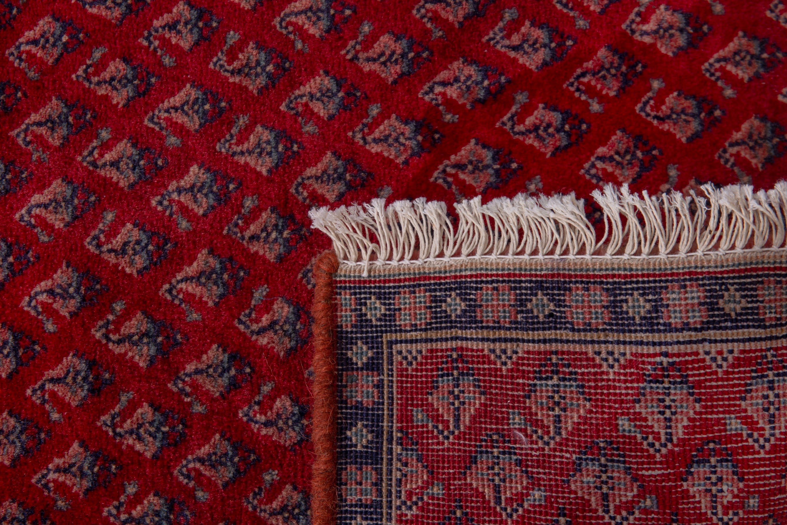 Persian Botteh accent rug in deep red and navy, view 7 of 7