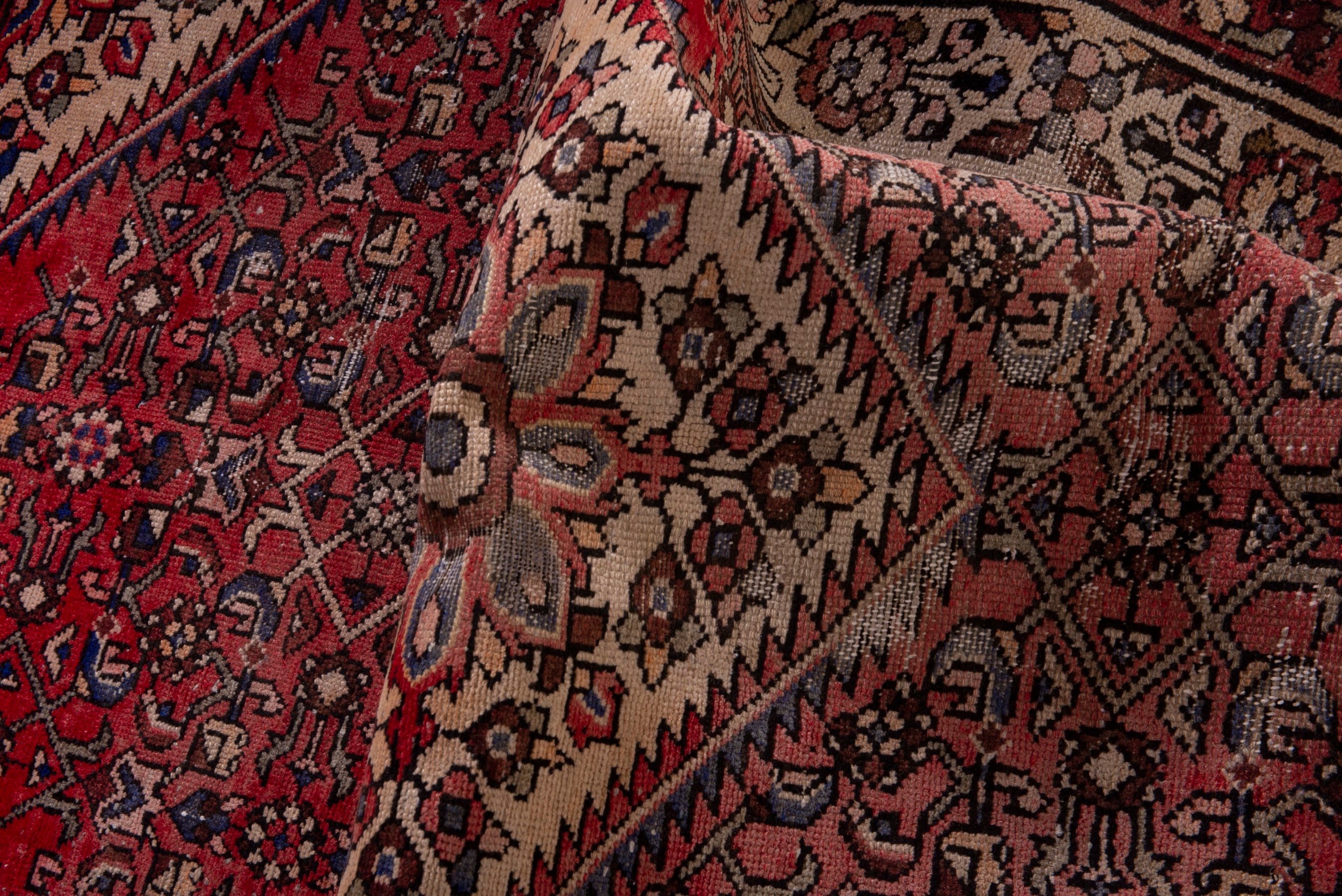 Persian Hamedan runner rug in deep red and cream, view 15 of 18