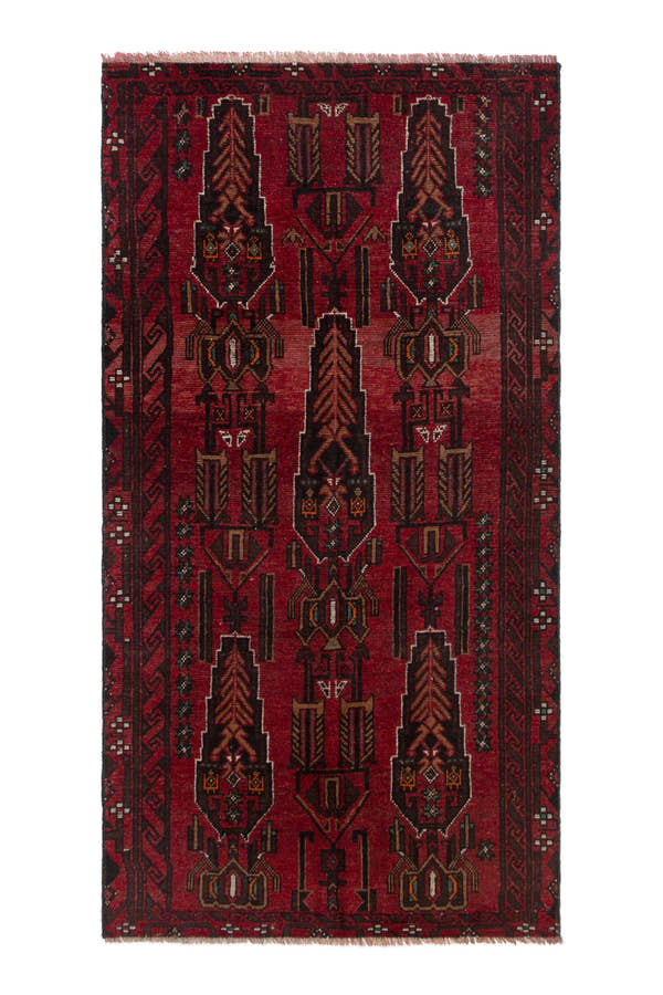 5337, Persian Shiraz Area Rug